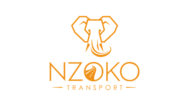Logo Nzoko